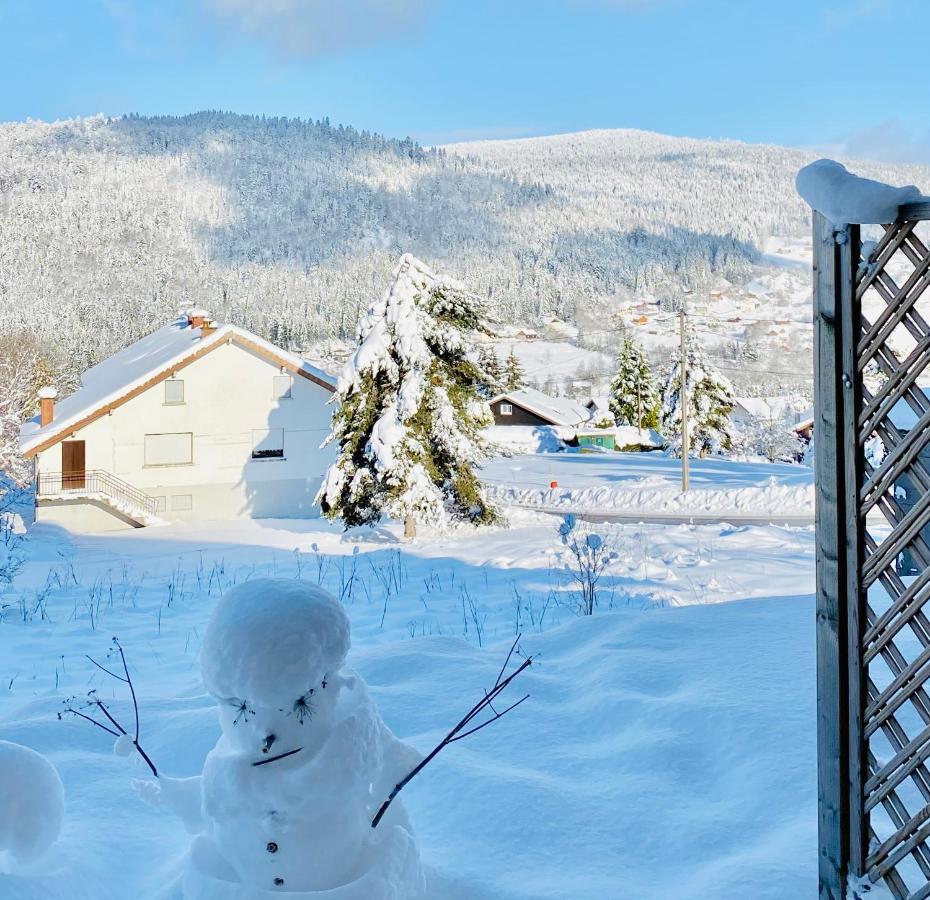 Appt 3* Le Haut Des Lacs Xonrupt-Longemer Dış mekan fotoğraf