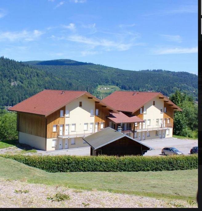 Appt 3* Le Haut Des Lacs Xonrupt-Longemer Dış mekan fotoğraf