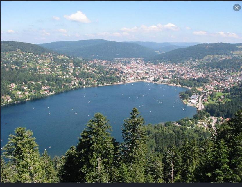 Appt 3* Le Haut Des Lacs Xonrupt-Longemer Dış mekan fotoğraf