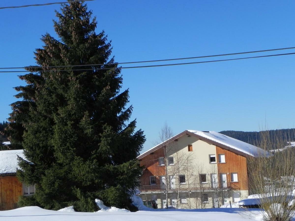 Appt 3* Le Haut Des Lacs Xonrupt-Longemer Dış mekan fotoğraf